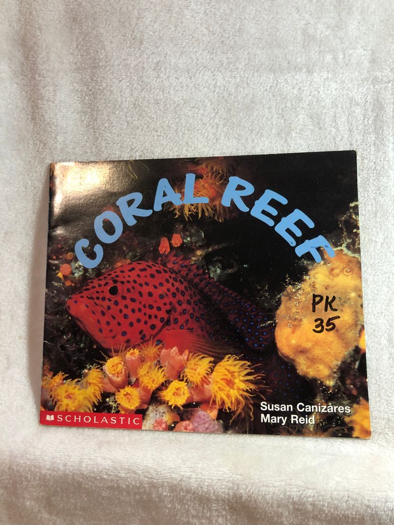Coral Reef