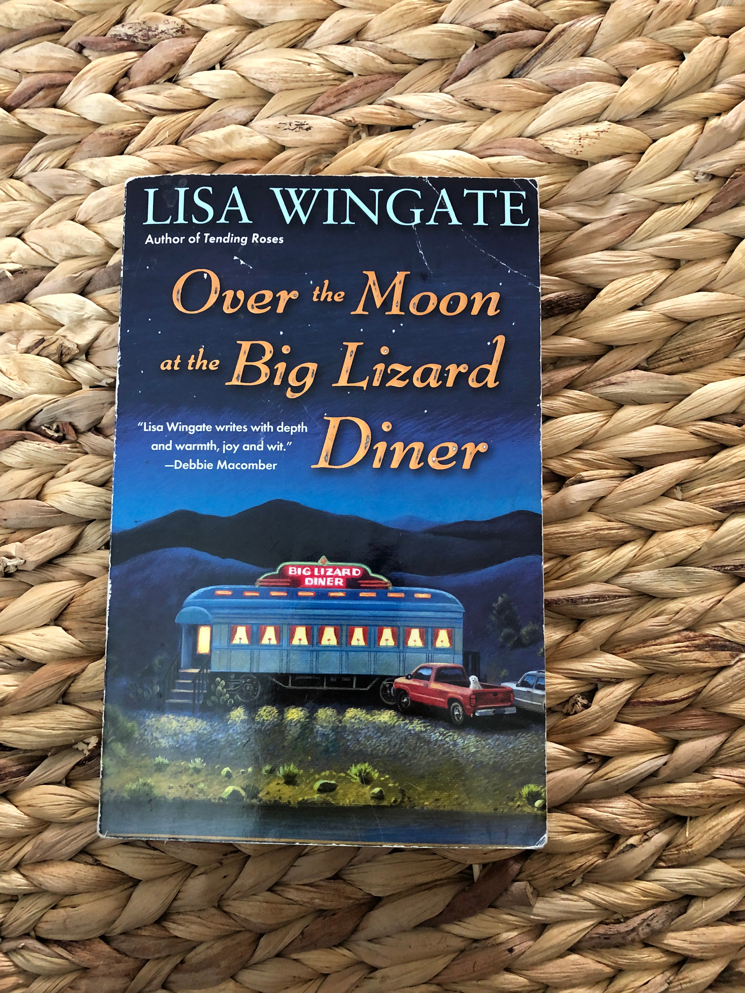 Over the Moon at the Big Lizard Diner