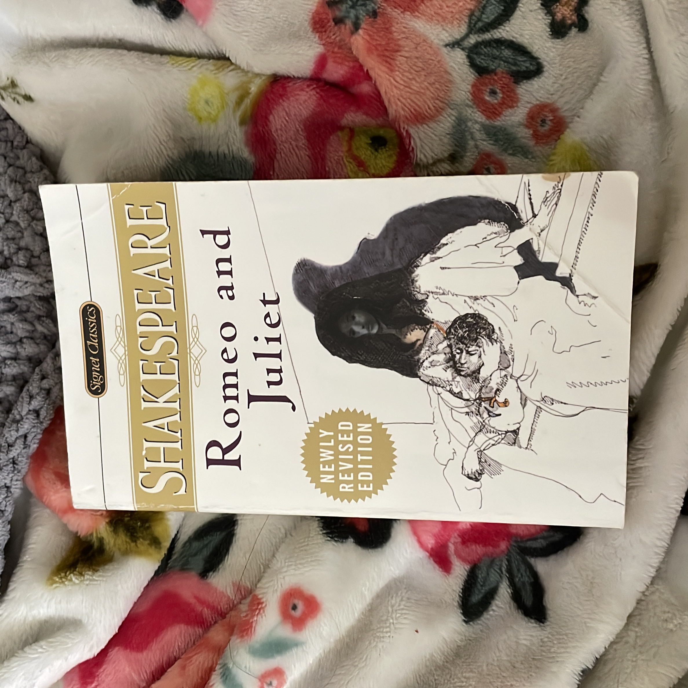 9780451526861 book cover