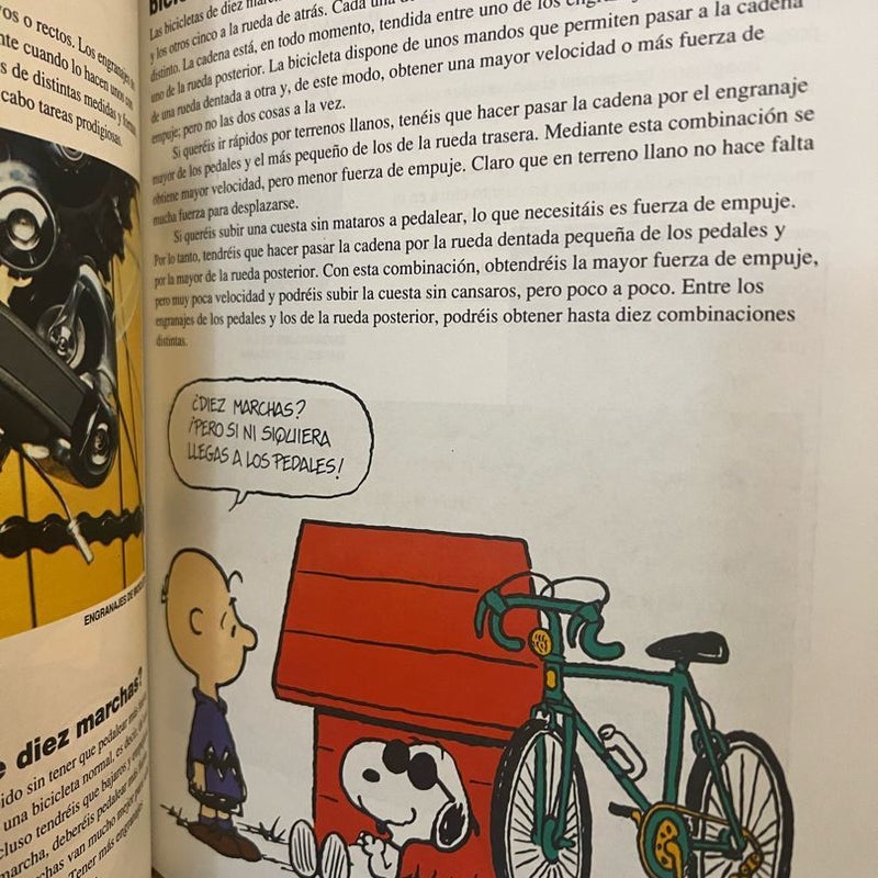 Enciclopedia