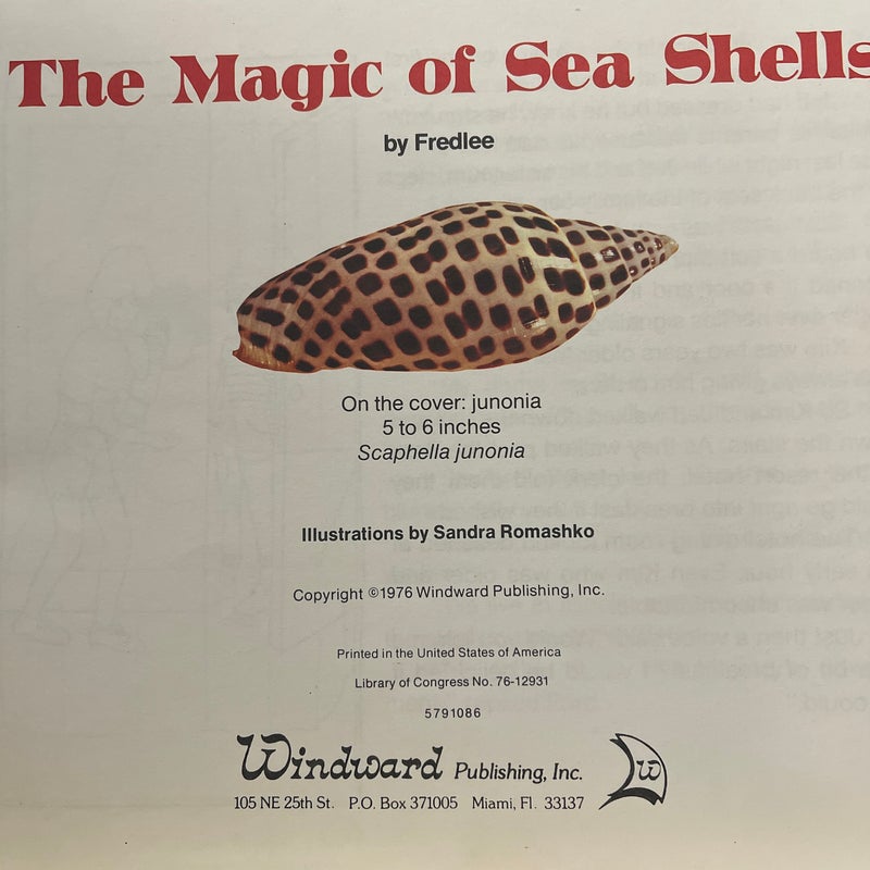 The Magic of Seashells
