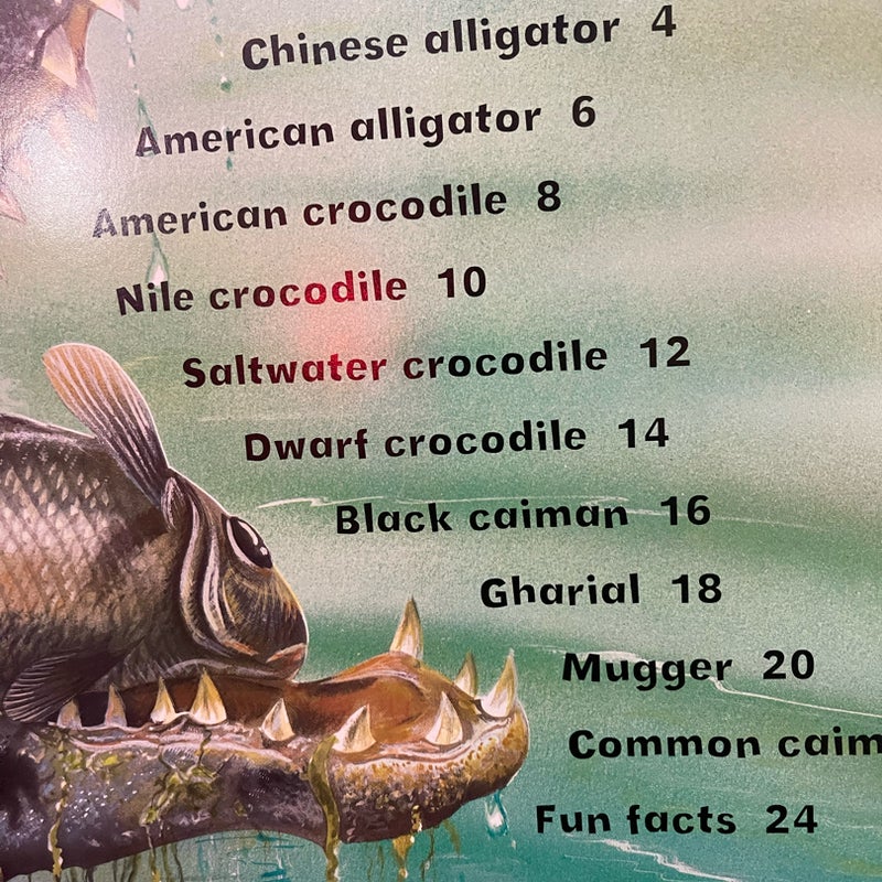 I Love Crocodiles