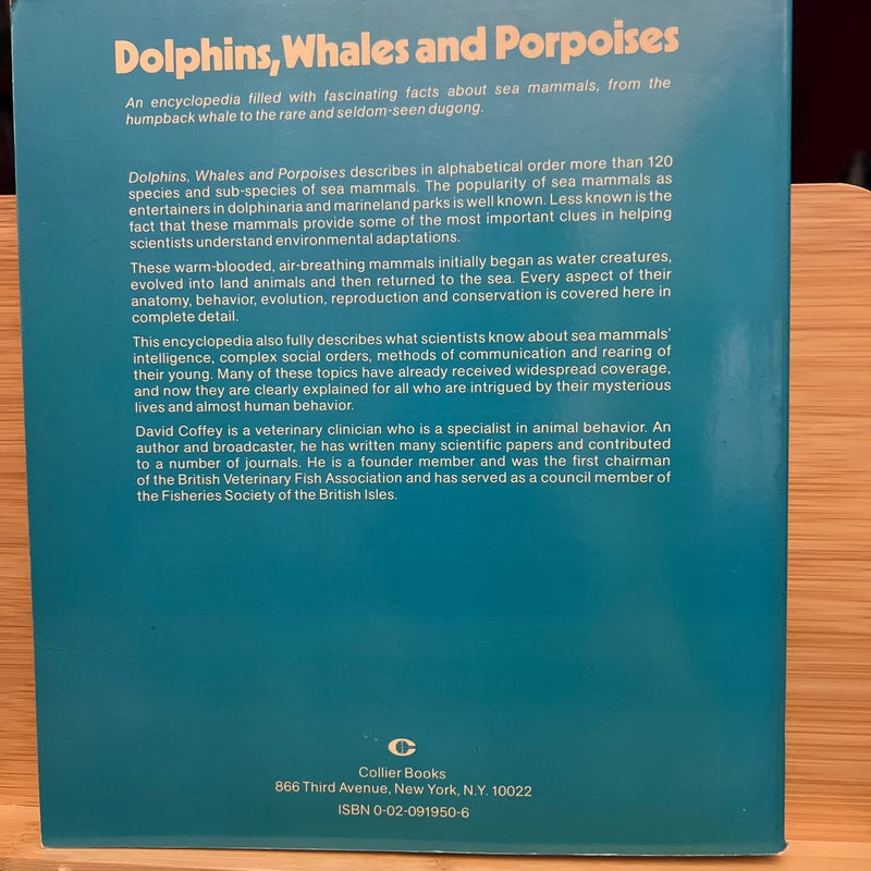 Dolphins, Wells, and porpoises