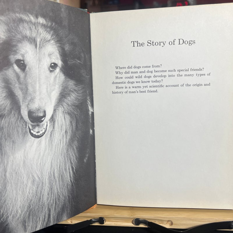 The story of dogs