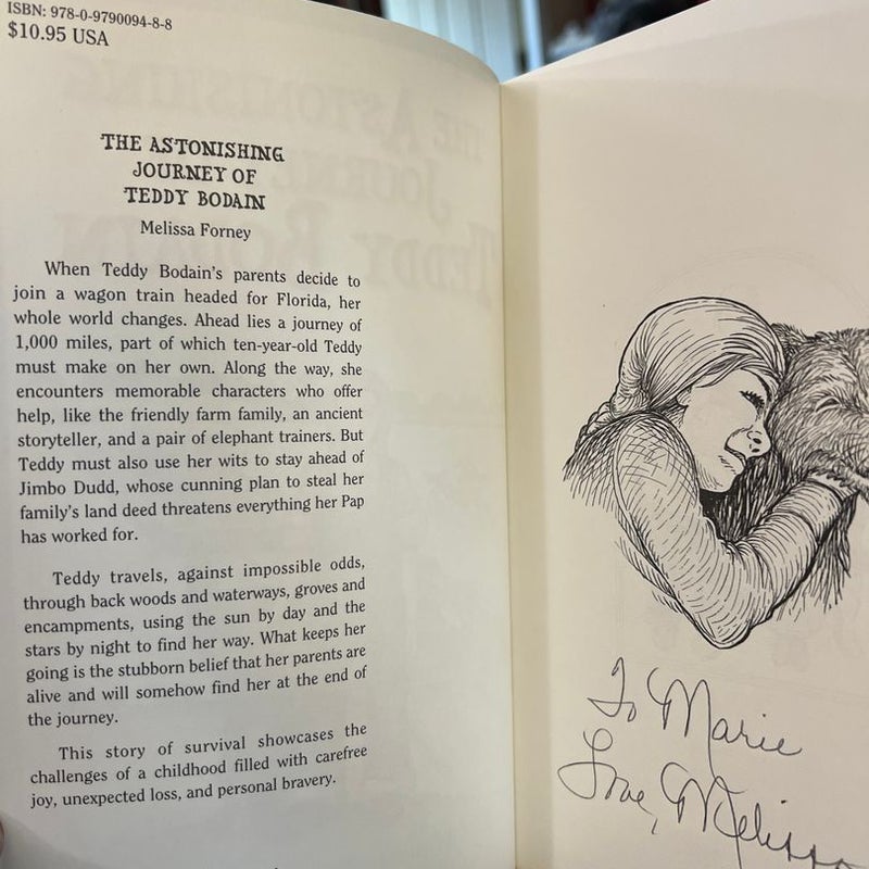 The Astonishing Journey of Teddy Bodain