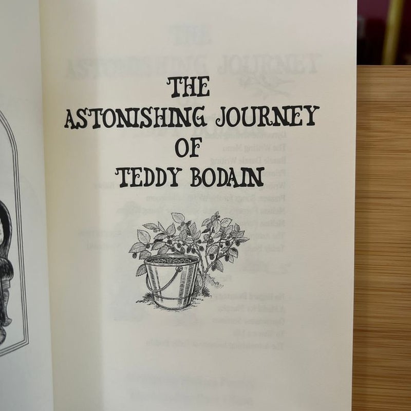 The Astonishing Journey of Teddy Bodain