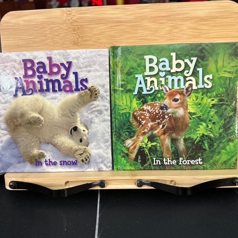 Baby Animals in the Sea