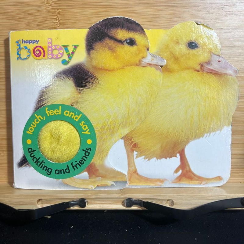 Duckling and Friends