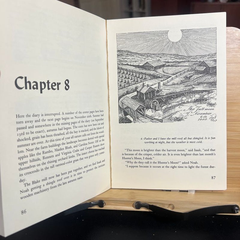 Diary of an Early American Boy
