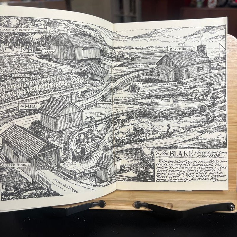 Diary of an Early American Boy