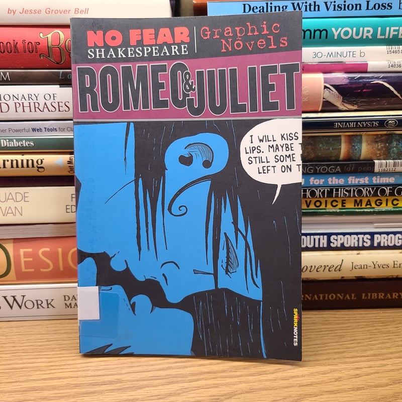 Nfs Graphic Novel Romeo and Juliet by SparkNotes, Paperback | Pangobooks