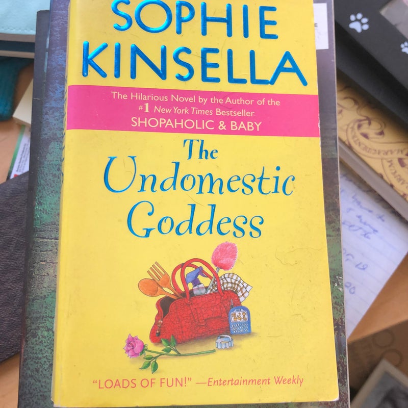 The Undomestic Goddess