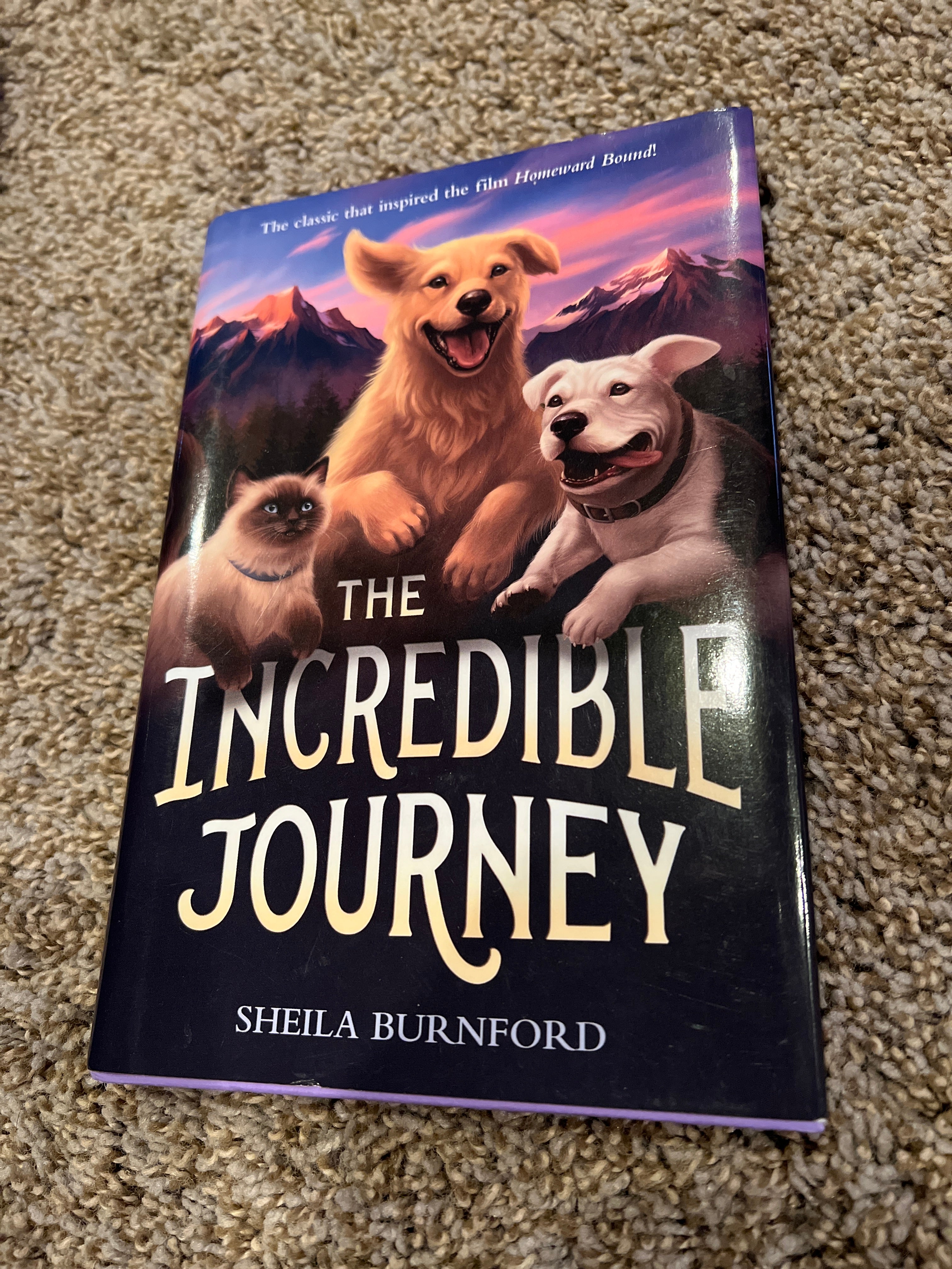 The Incredible Journey