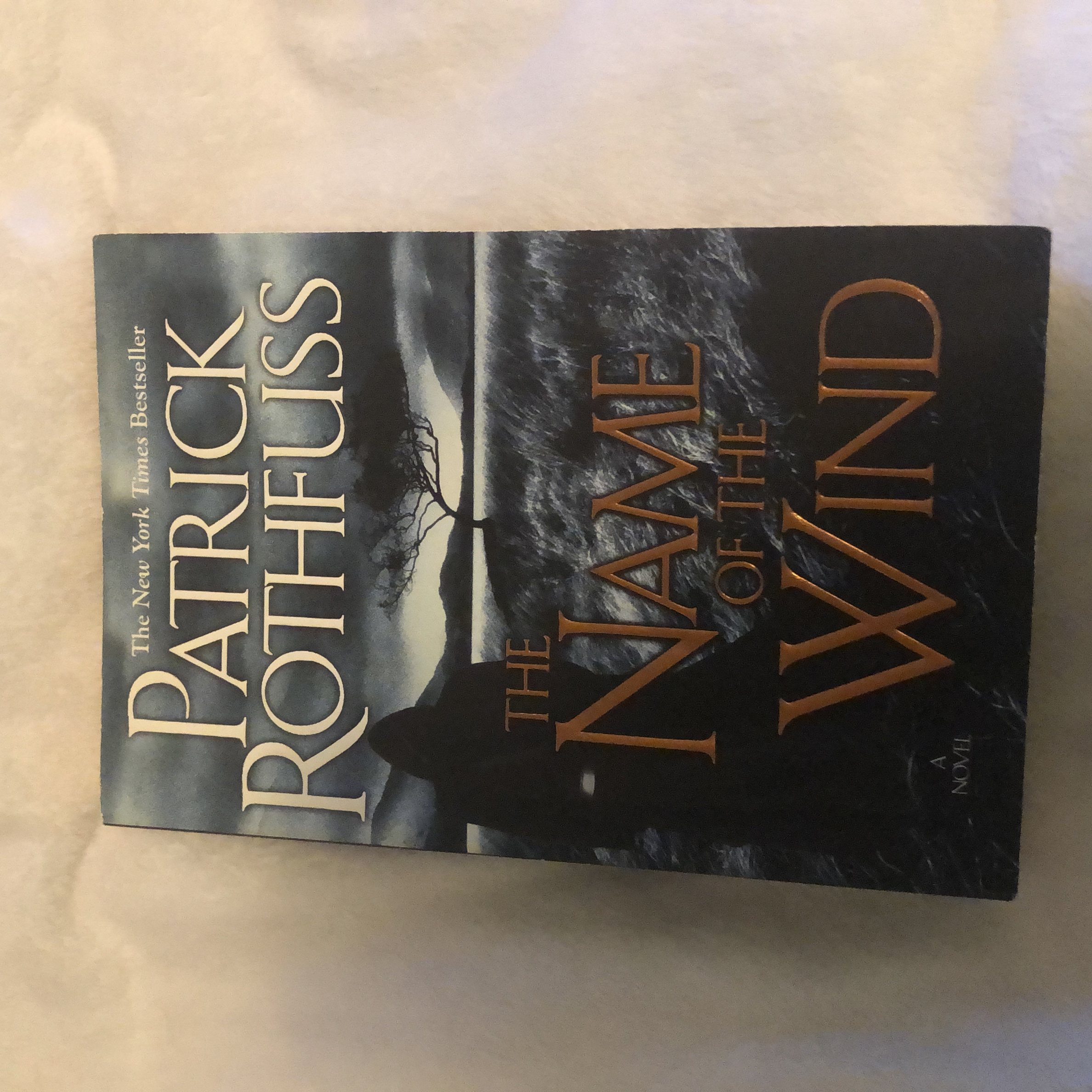 The Name of the Wind