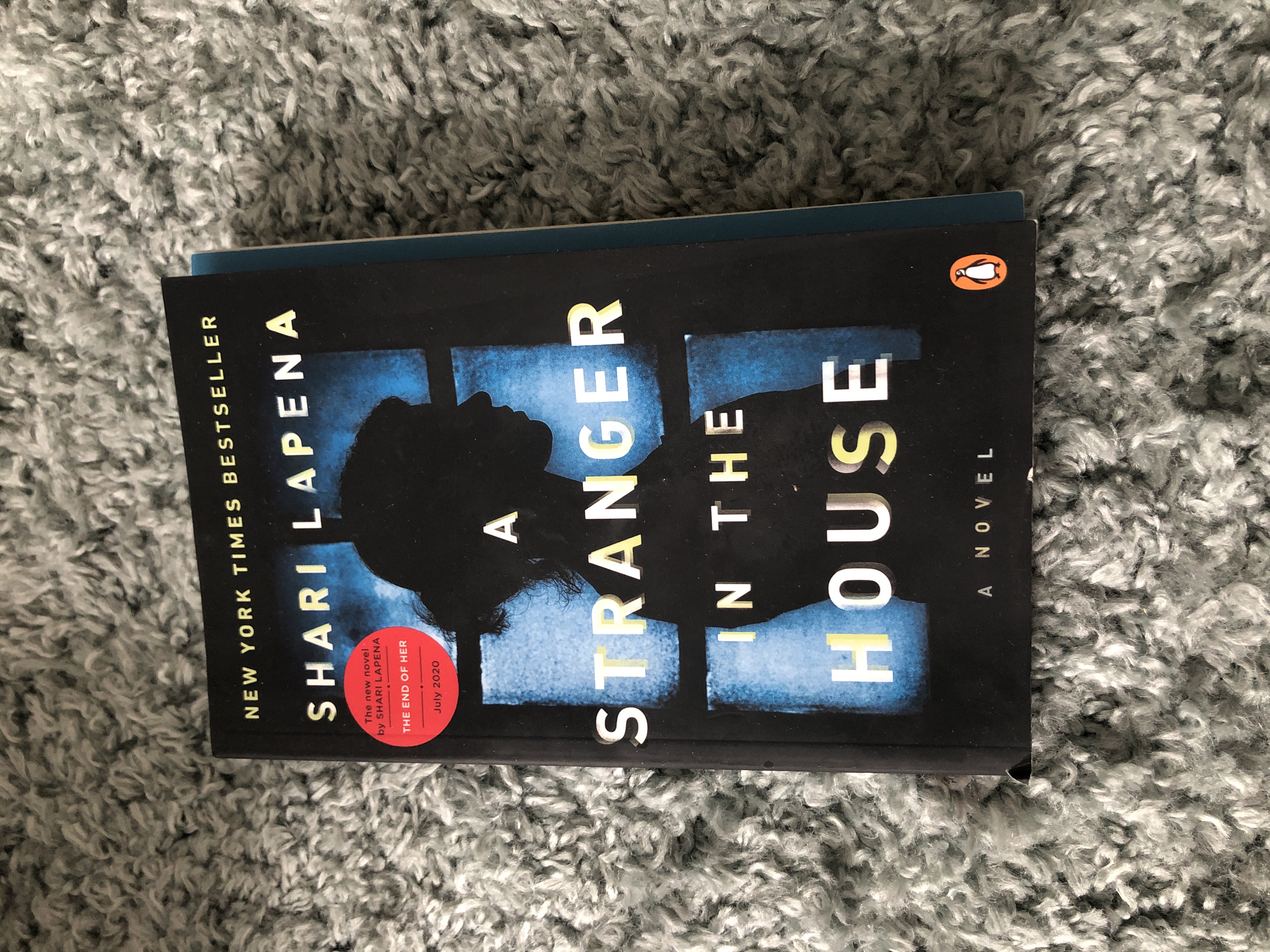 A Stranger in the House