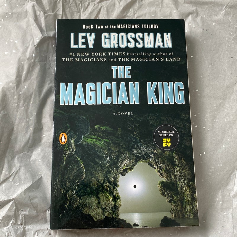 The Magician King