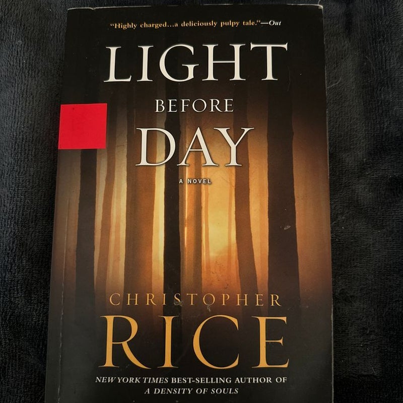 **SIGNED** Light Before Day