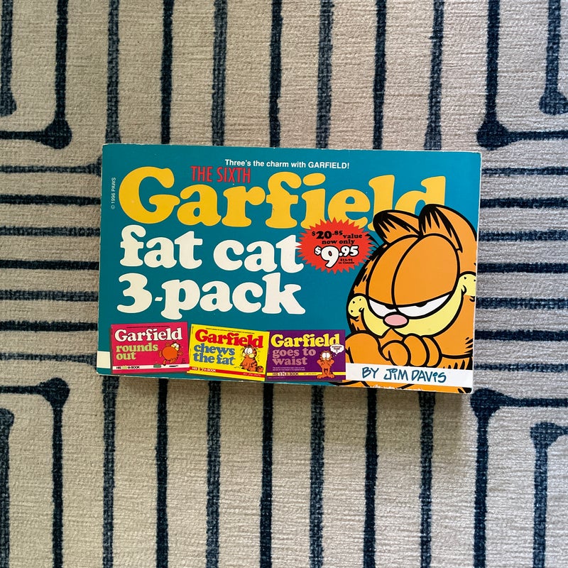 Garfield Fat Cat 3-Pack #6