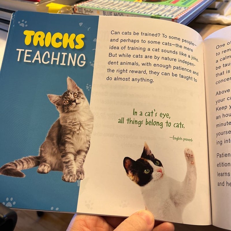 Tricks for Cats Kit