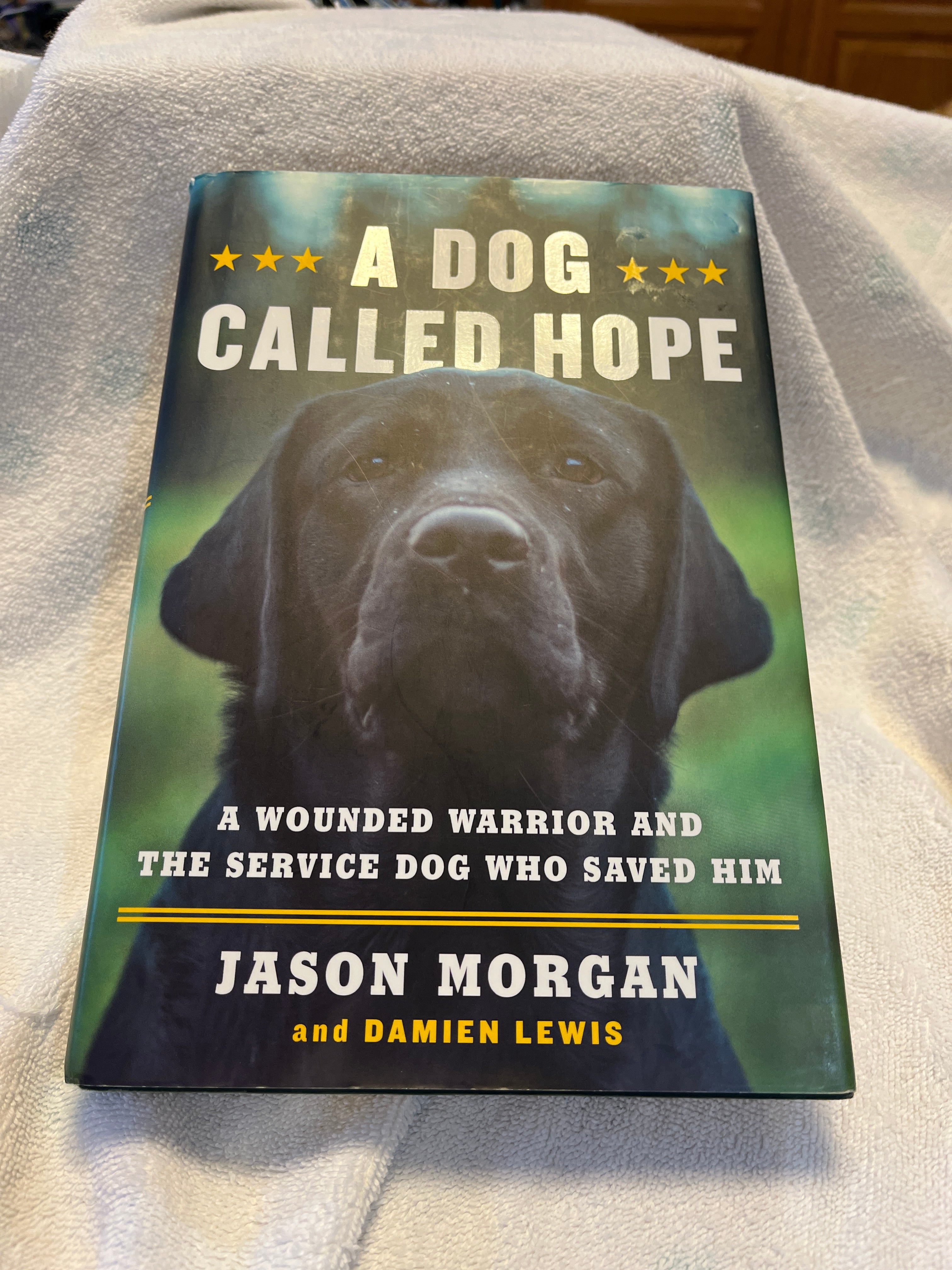 A Dog Called Hope