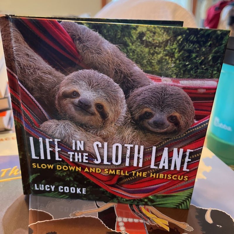 Life in the Sloth Lane