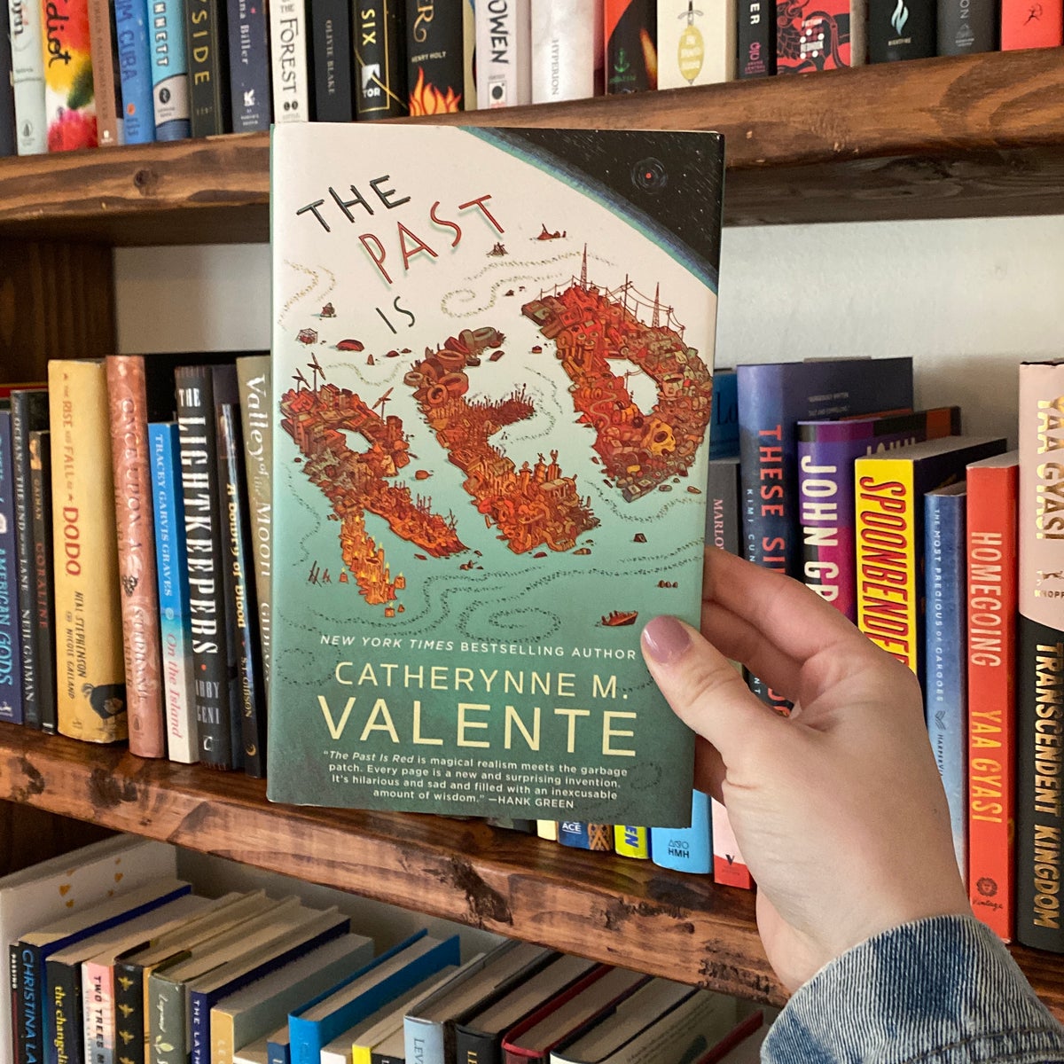 THE PAST IS RED BOOK visual data 7