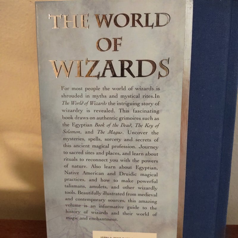 The World of Wizards