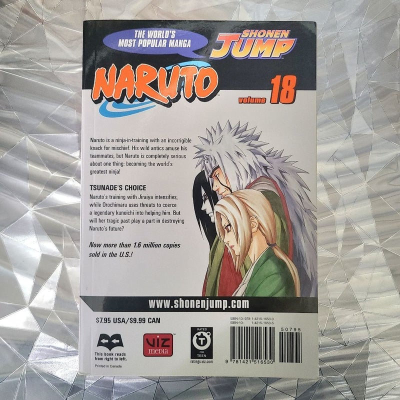 Naruto, Vol. 18