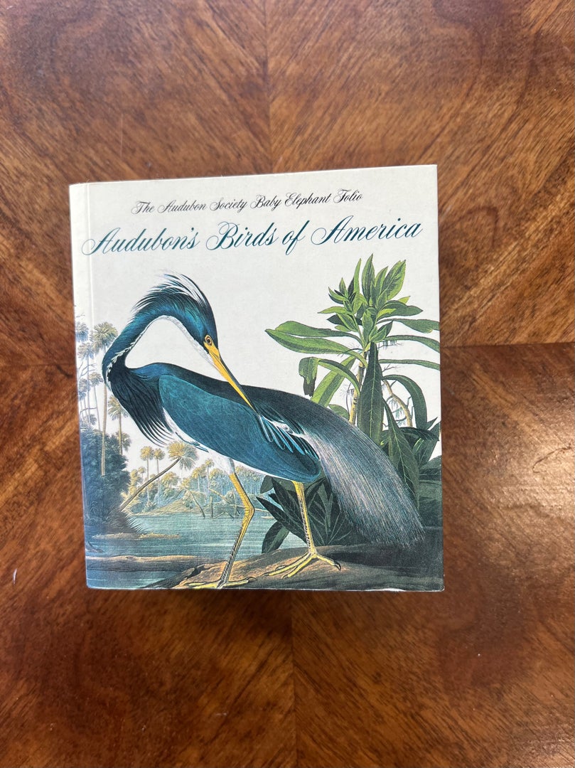 Audubon's Birds of America