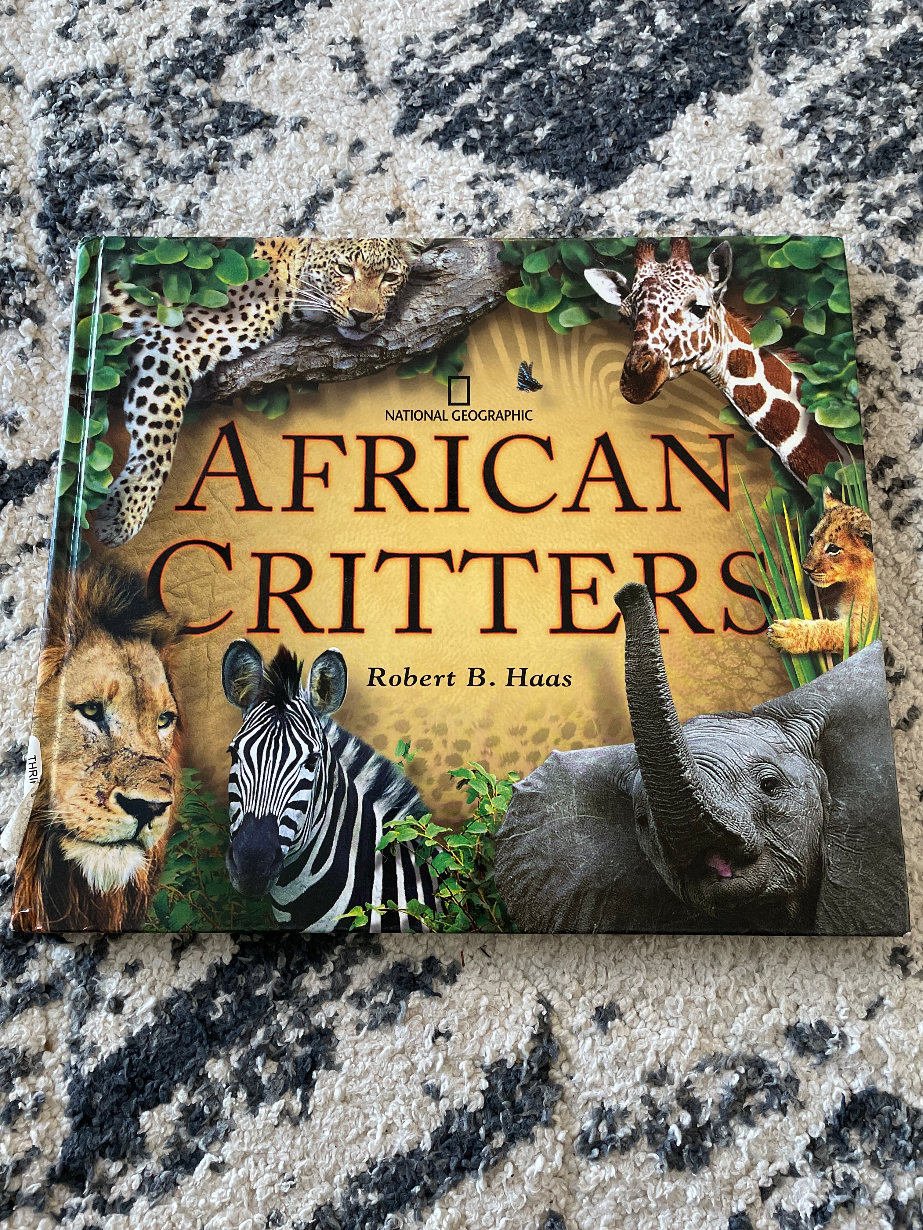 African Critters