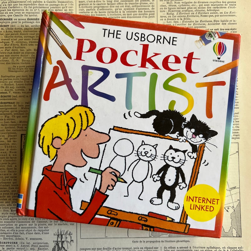 Pocket Artist by Judy Tatchell