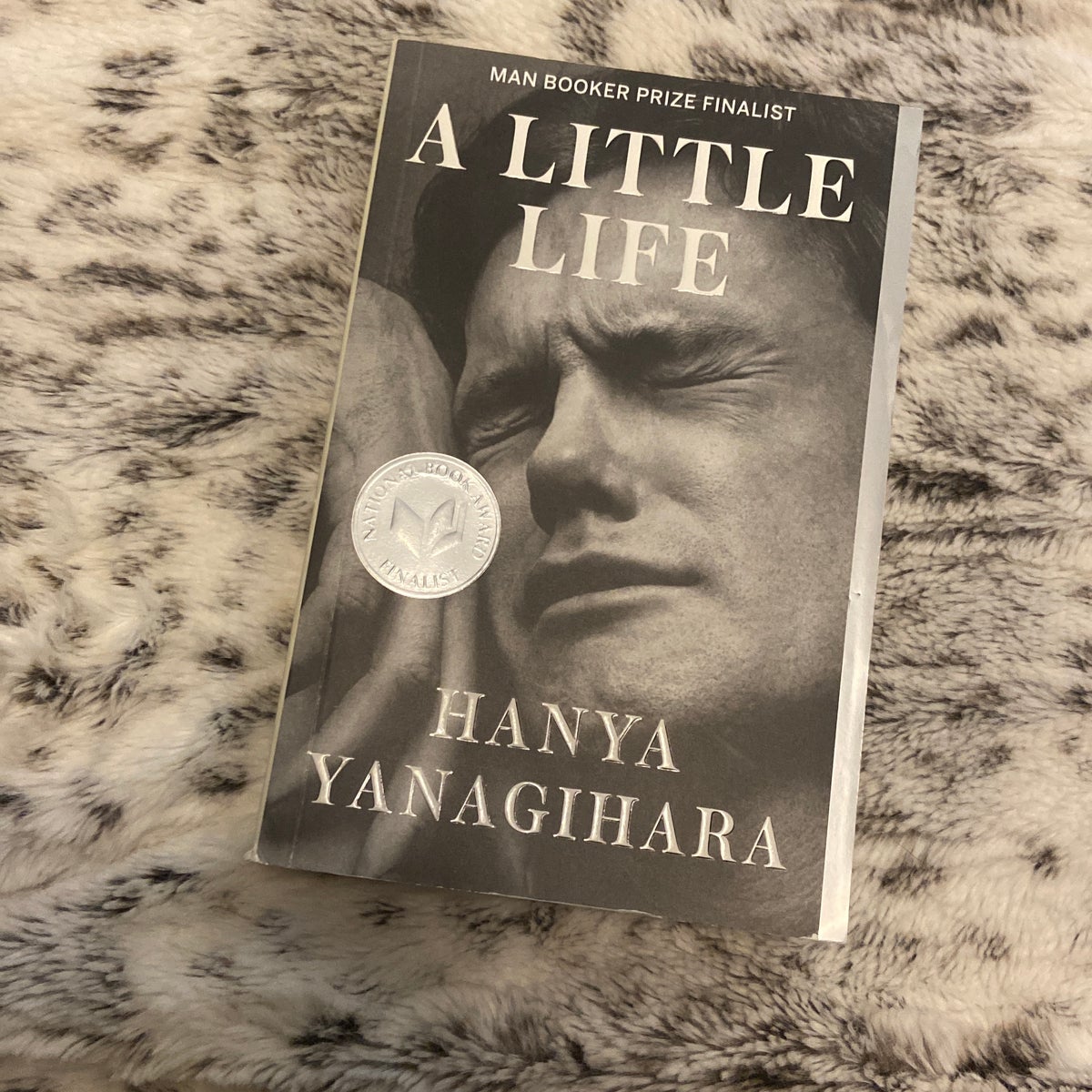 A Little Life by Hanya Yanagihara, Paperback | Pangobooks