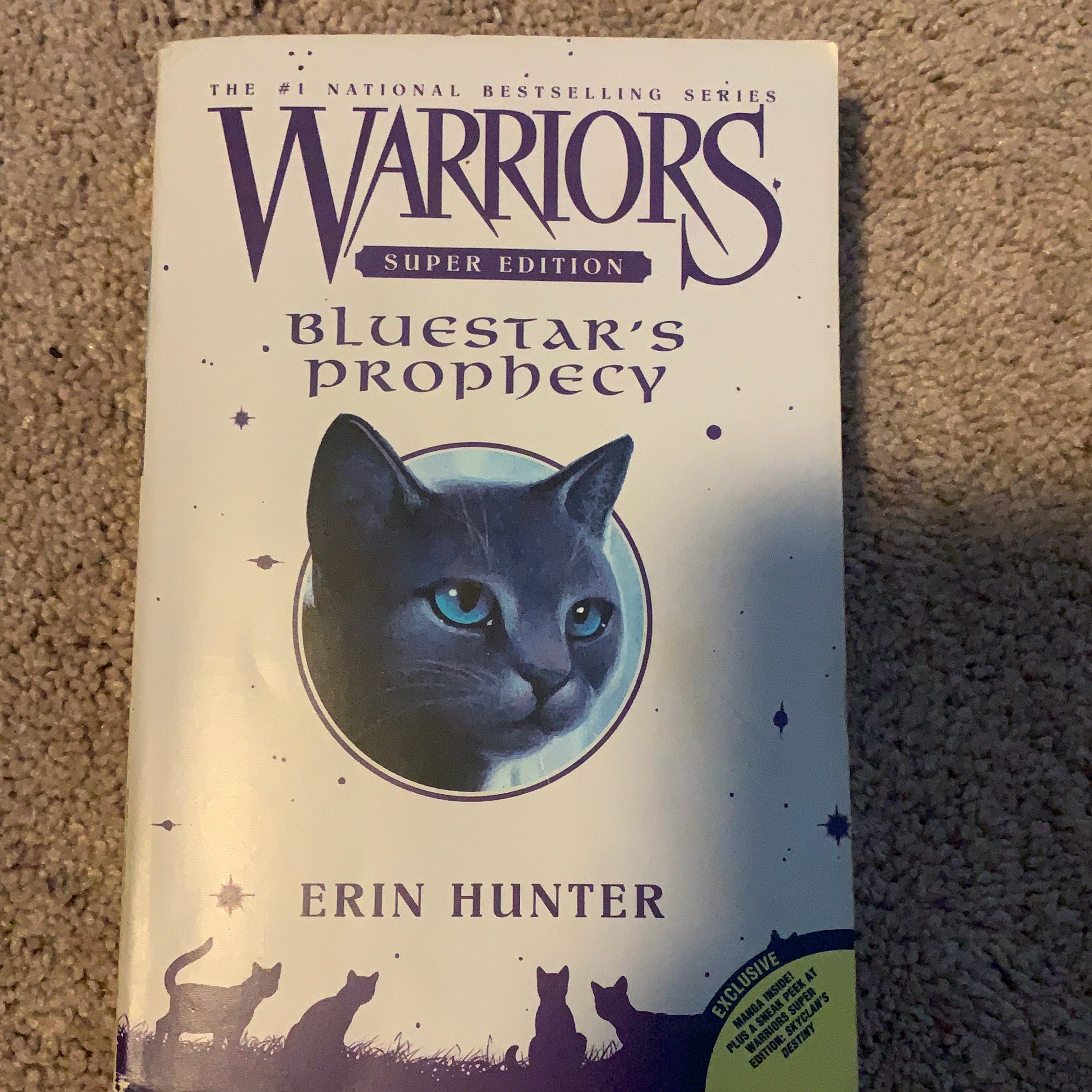 Warriors Super Edition: Bluestar's Prophecy