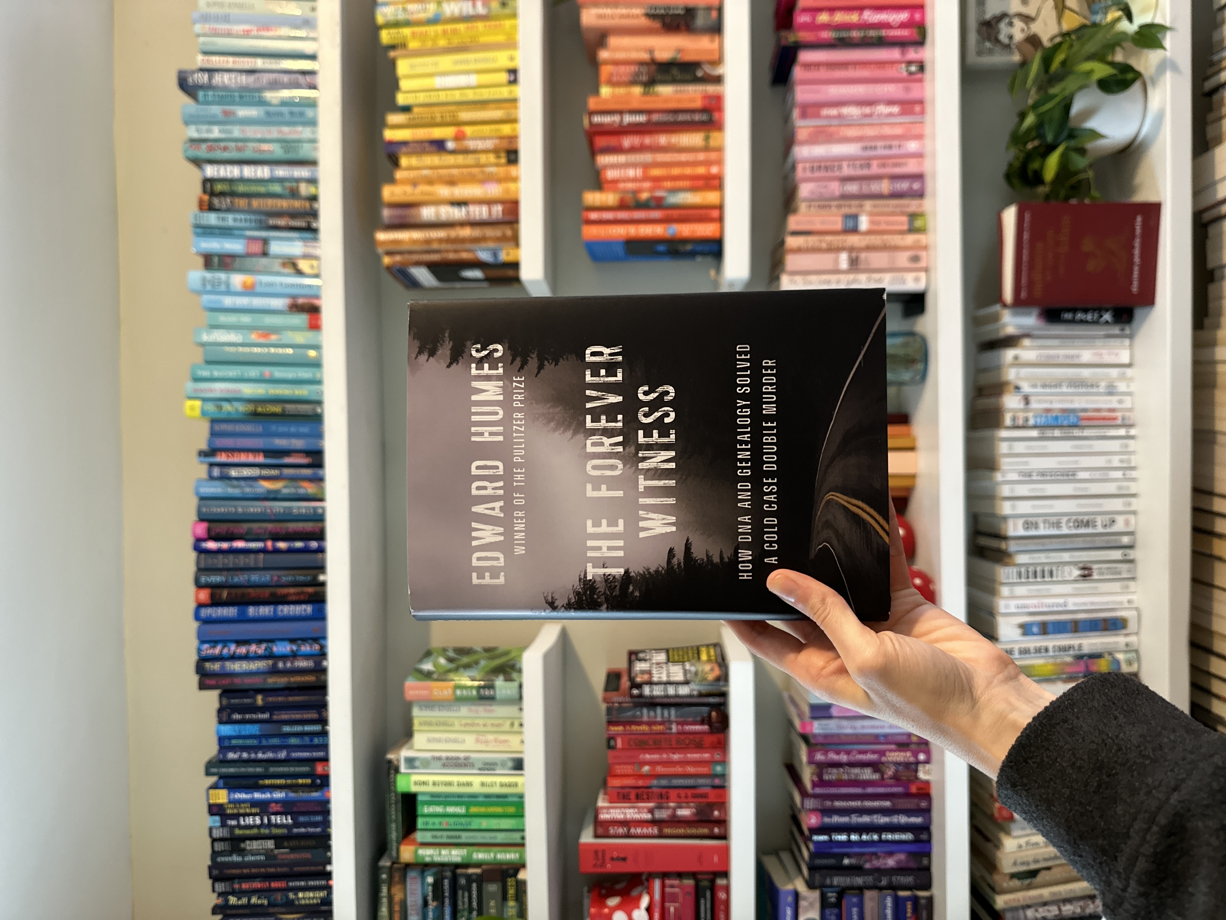 Sale image for 0760ea31-18f9-4b0c-82f6-67ce7626bc88-bMhSECCFYchQ0YQDDFJXNHBMXDp1