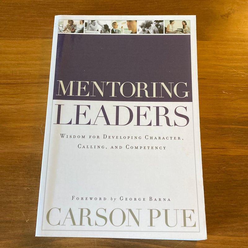 Mentoring Leaders