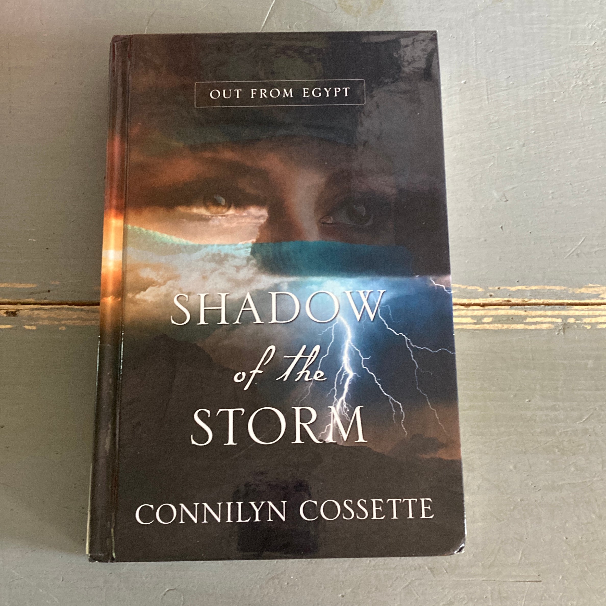 Shadow of the Storm