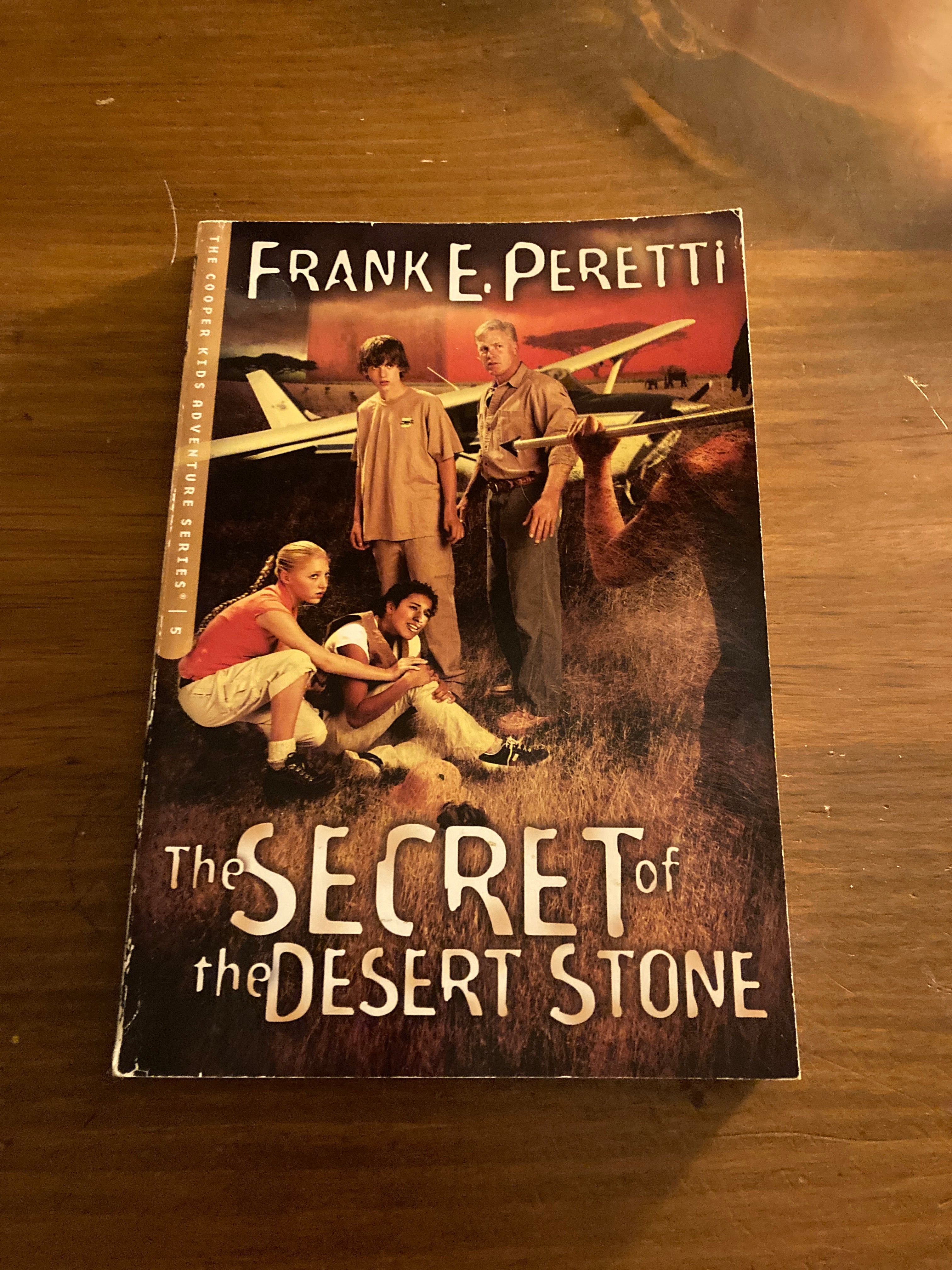 The Secret of the Desert Stone