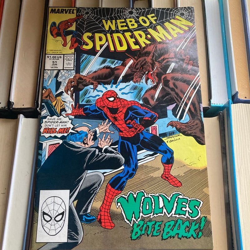 Web of Spider-Man 