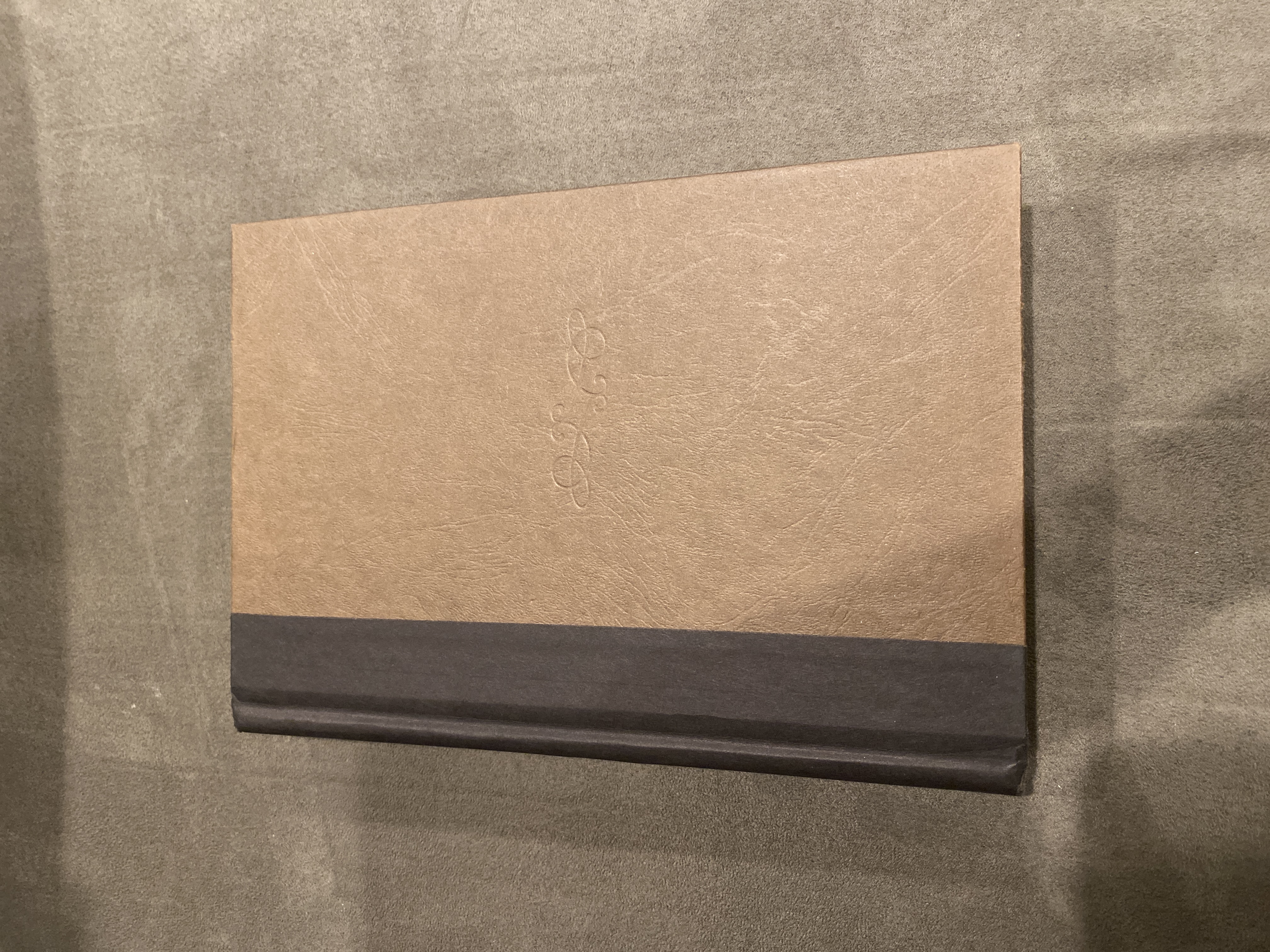 The Widow of the South