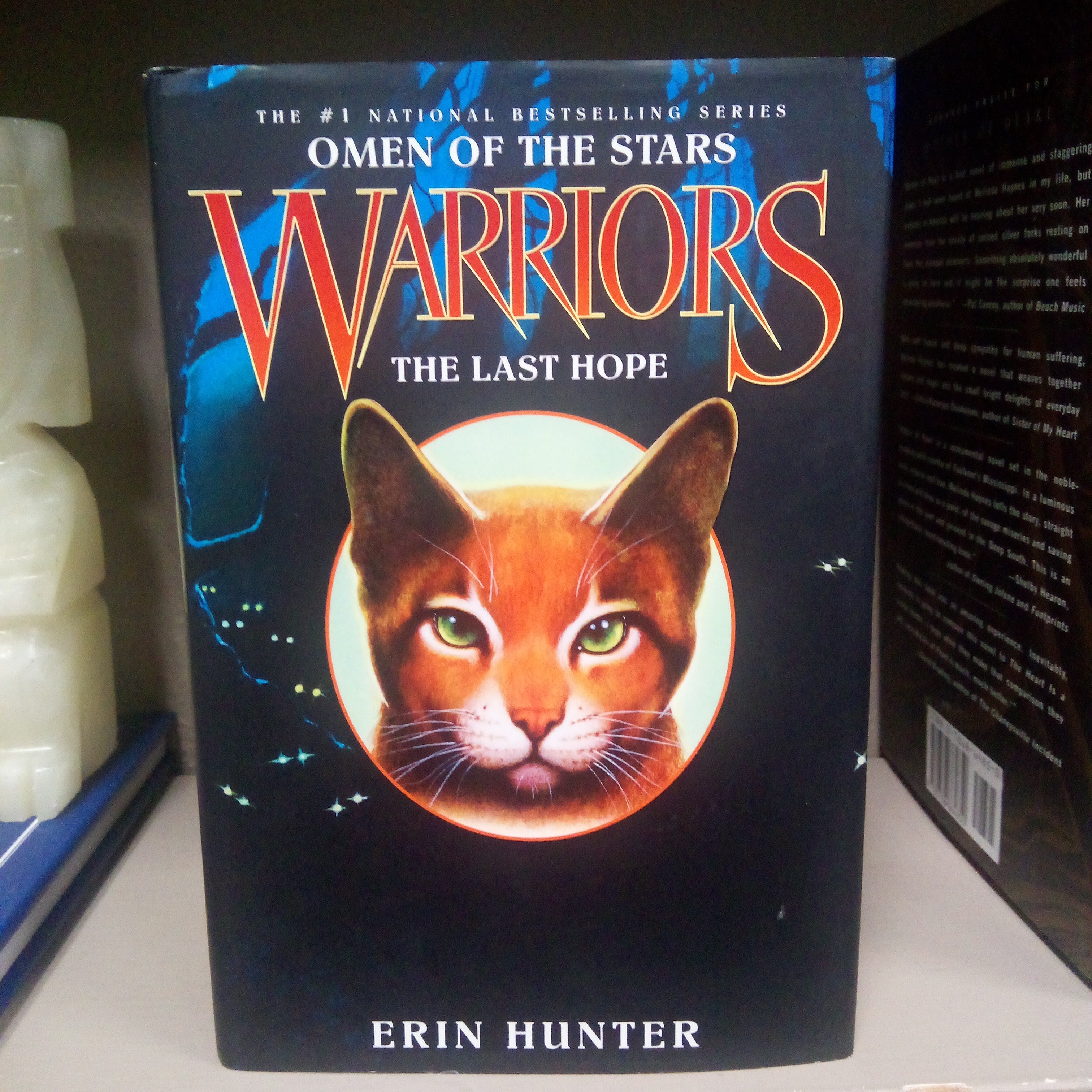 Warriors: Omen of the Stars #6: the Last Hope