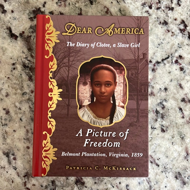 A Picture Of Freedom The Diary Of Clotee A Slave Girl