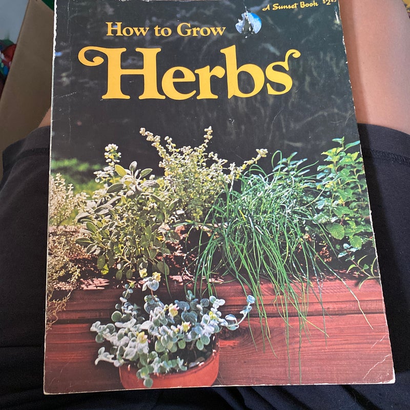 How do grow herbs 