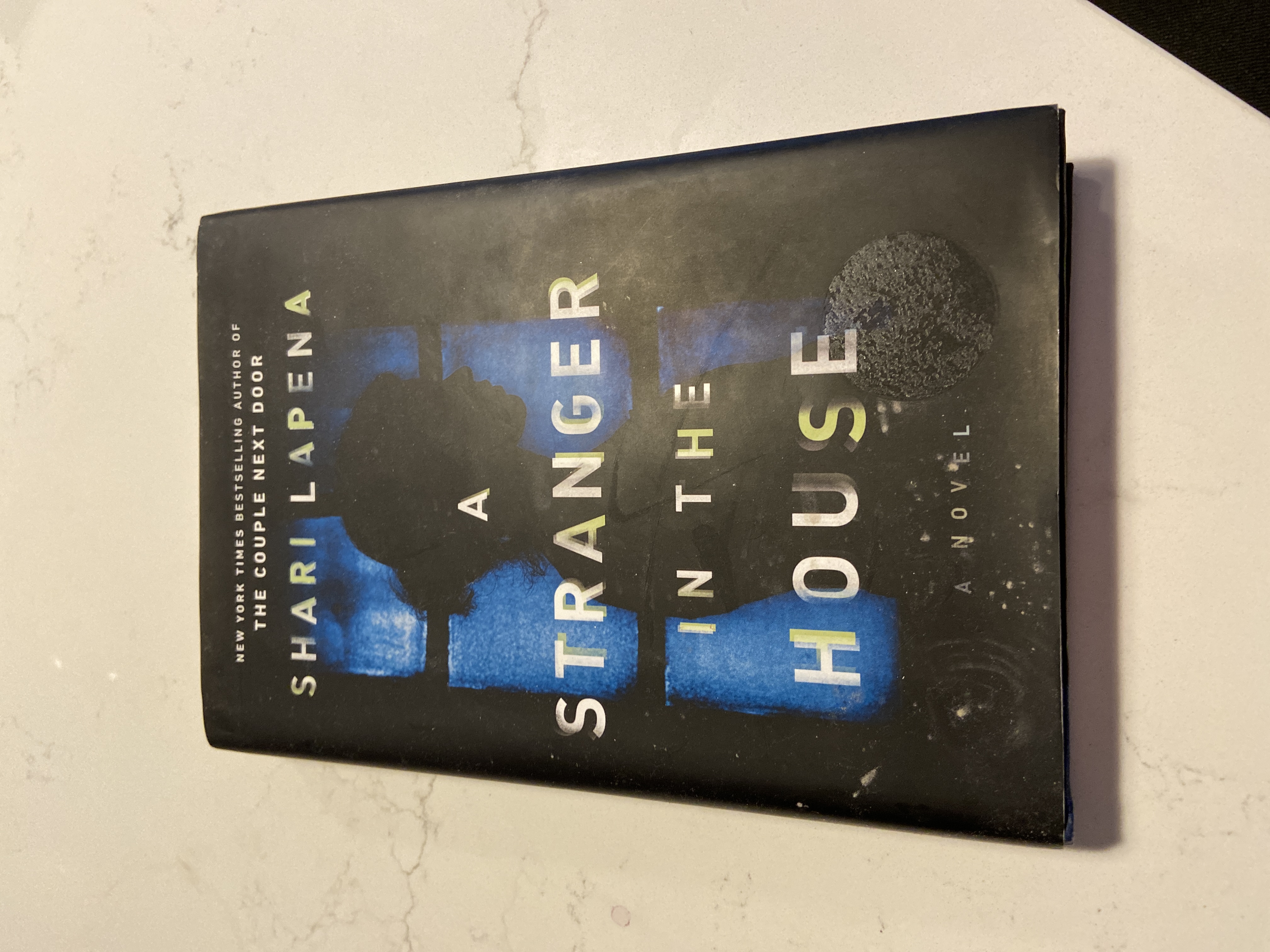 A Stranger in the House