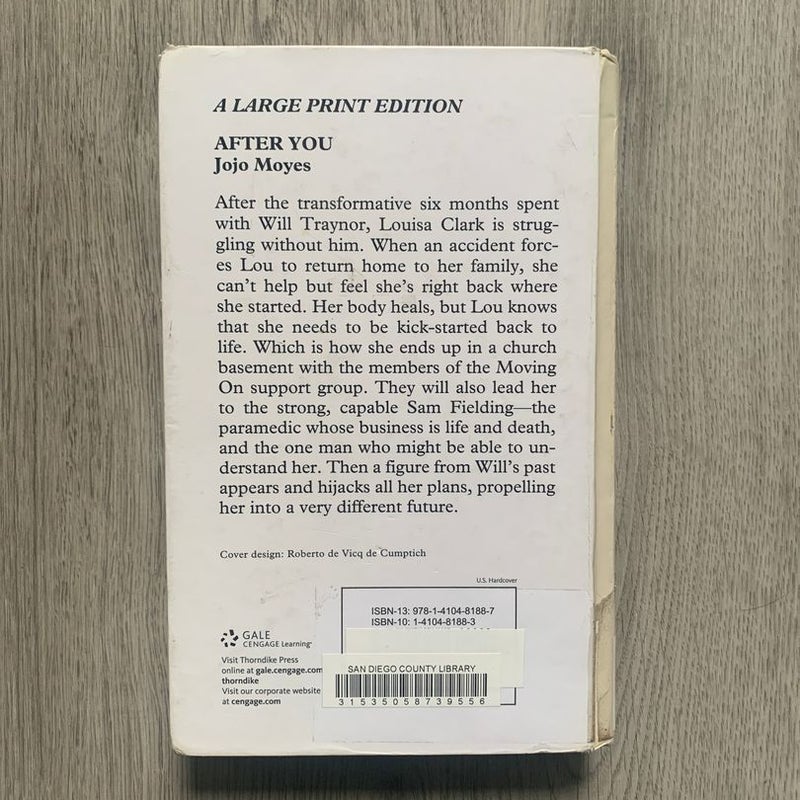 After You LARGE PRINT EDITION