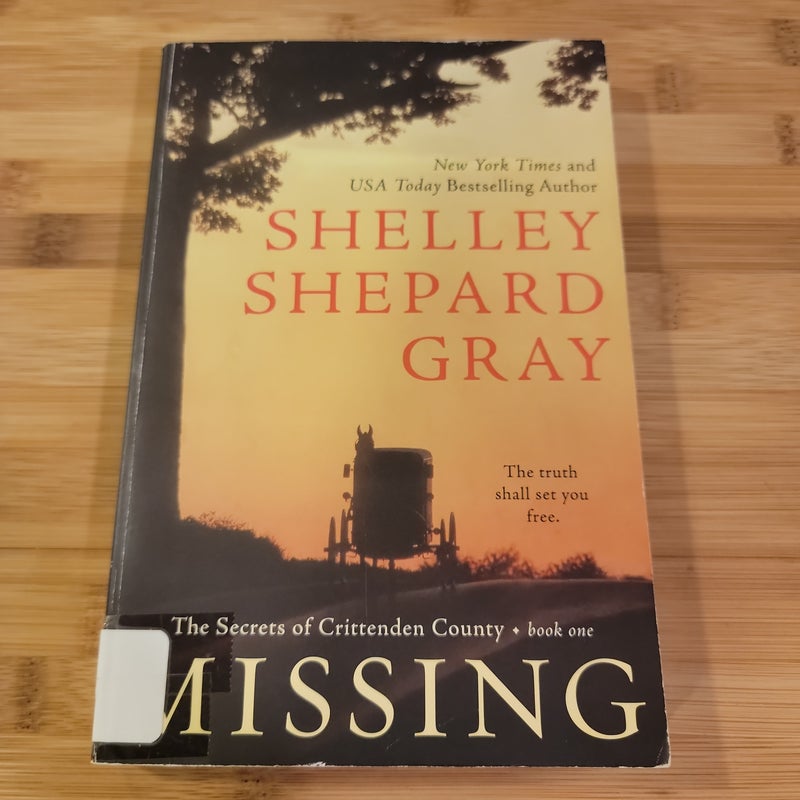 Missing: The Secrets of Crittenden County, Book One