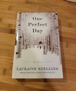 One Perfect Day