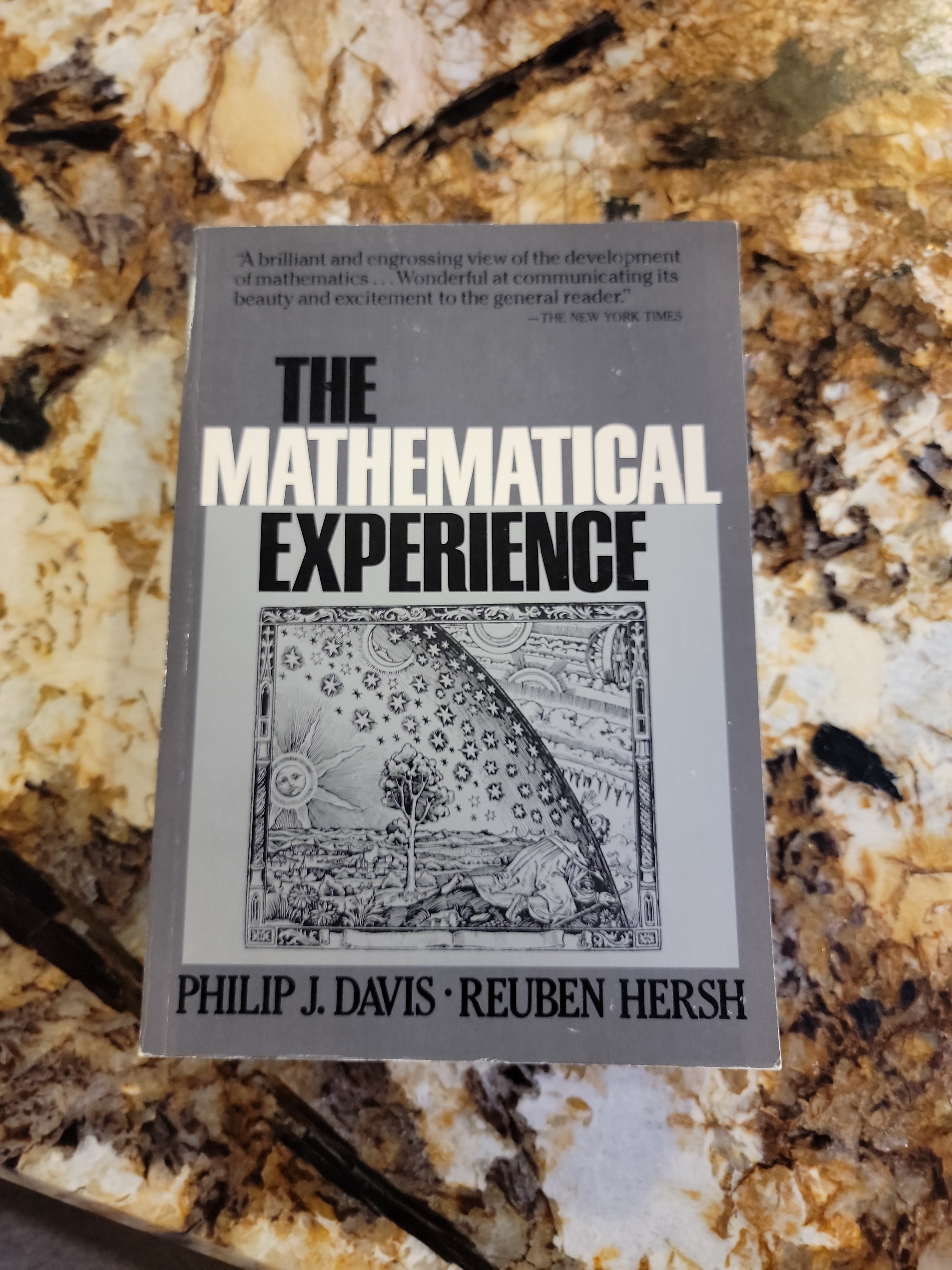 The Mathematical Experience