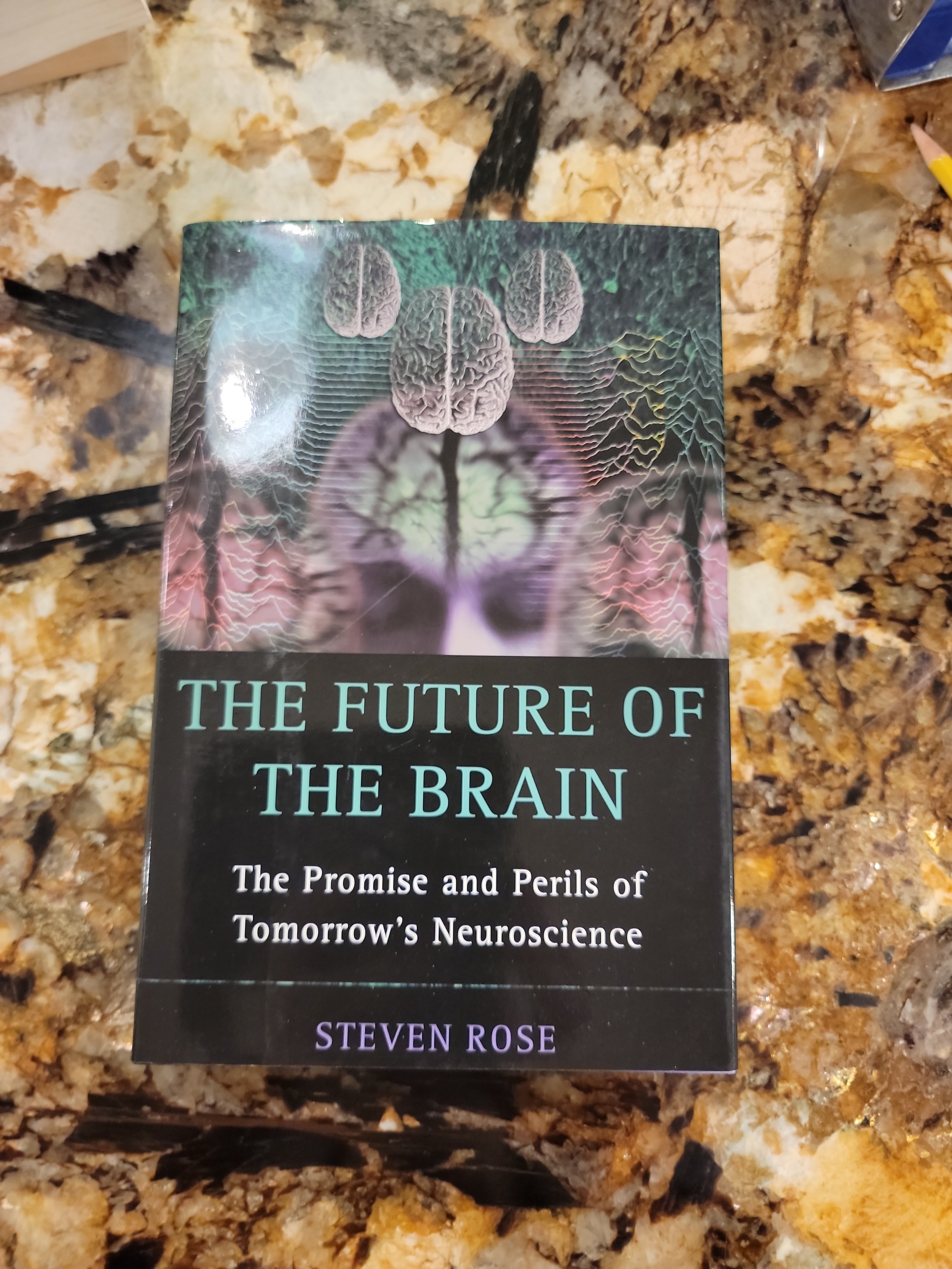 The Future of the Brain