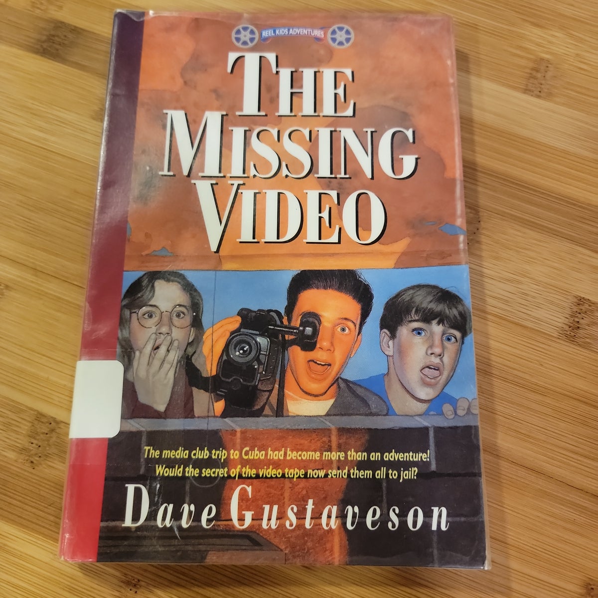 Reel Kids Adventures - the Missing Video by Dave Gustaveson, Paperback