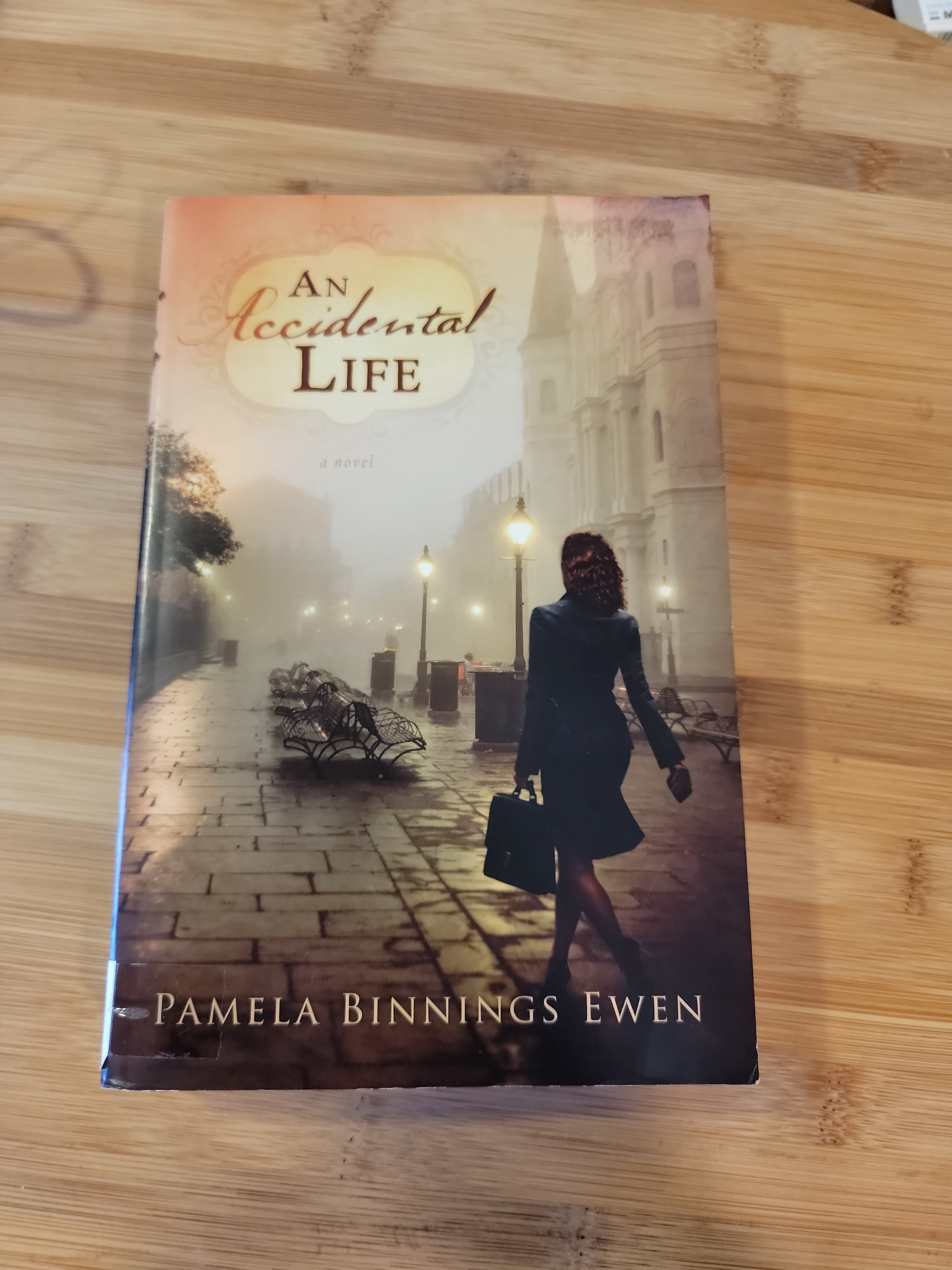 An Accidental Life